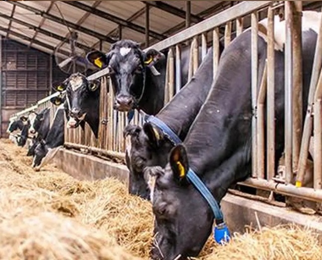 Daventry Appraisal Services